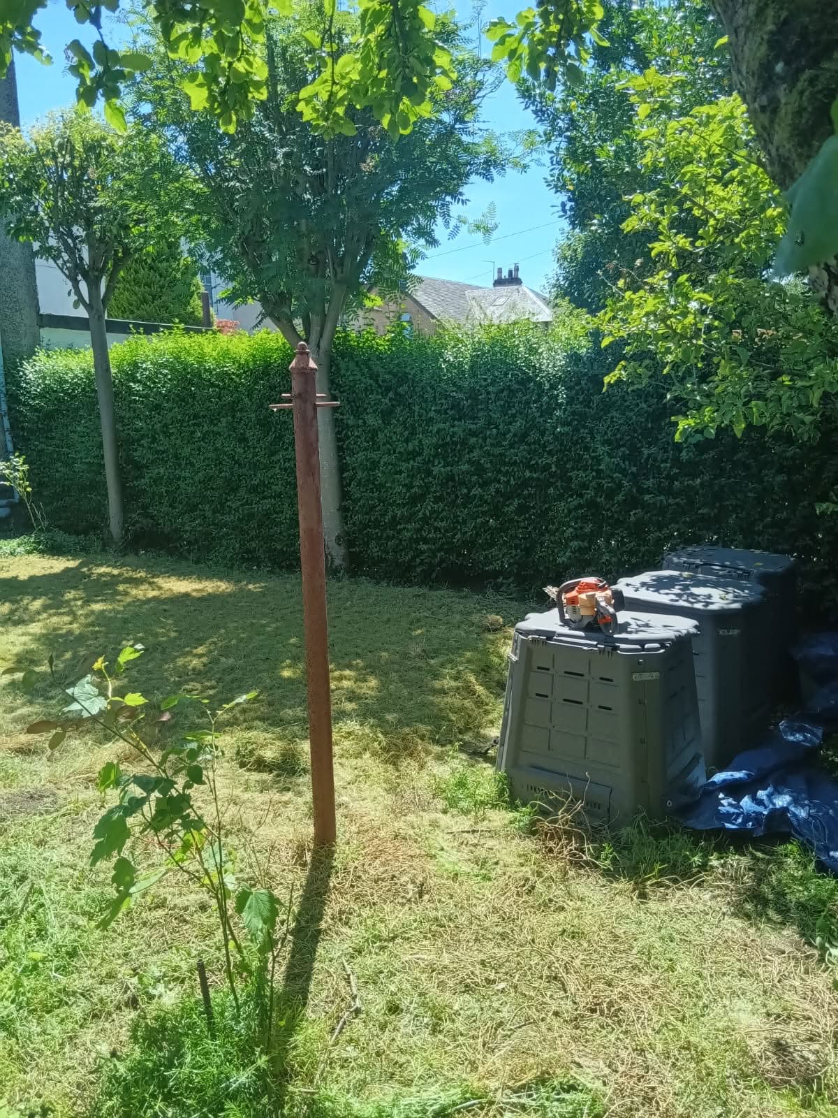 Before hedge trimming work